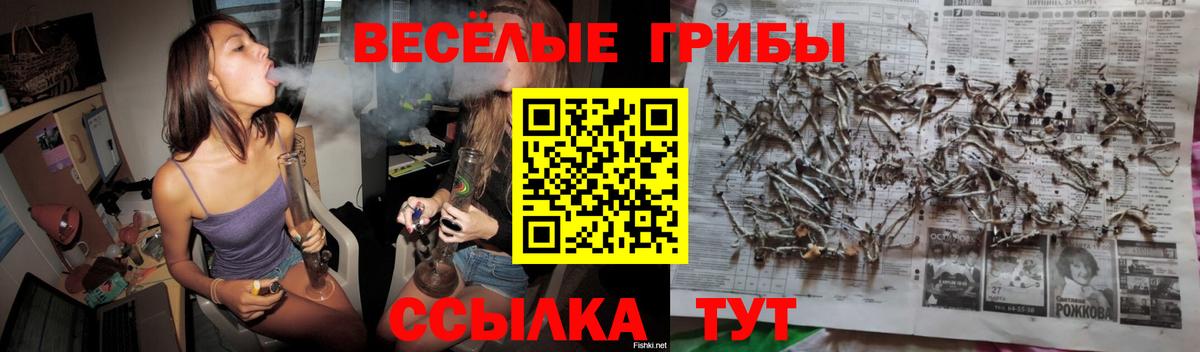 Псилоцибиновые грибы Magic Shrooms  Вход с VPN  Феодосия 